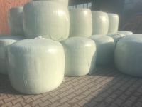 Maisrundballen,Maissilage,Mais,Silomais,Silage, Silageballen, Nordrhein-Westfalen - Laer Vorschau