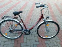 28" Damenfahrrad 7 Gang Nabenschaltung Nabendynamo Brandenburg - Templin Vorschau