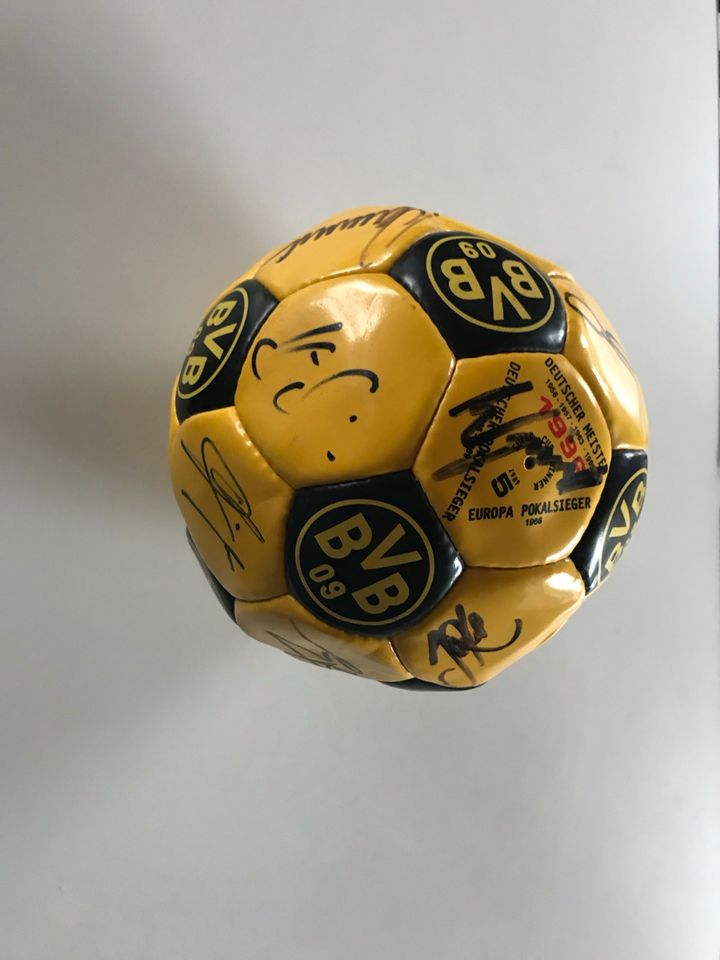 BVB Borussia Dortmund Ball Original Unterschriften 1996 in Herscheid
