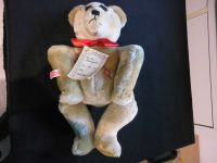 Clemens Teddy - Choleriker Nr. 40 - 190 mit Brummstimme  # B6 Nordrhein-Westfalen - Emsdetten Vorschau