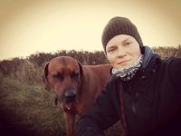 Selbstständiger Handwerker + Hund sucht Wohnung/Haus + Werkstatt Hessen - Baunatal Vorschau