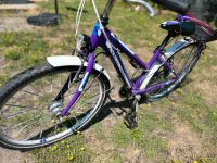 Fahrrad 26 Zoll Nordrhein-Westfalen - Greven Vorschau