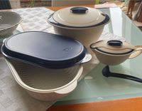 Tupperware großes Set Schüsseln, Sauciere, Soßenkelle,Salatlöffel Sachsen-Anhalt - Magdeburg Vorschau