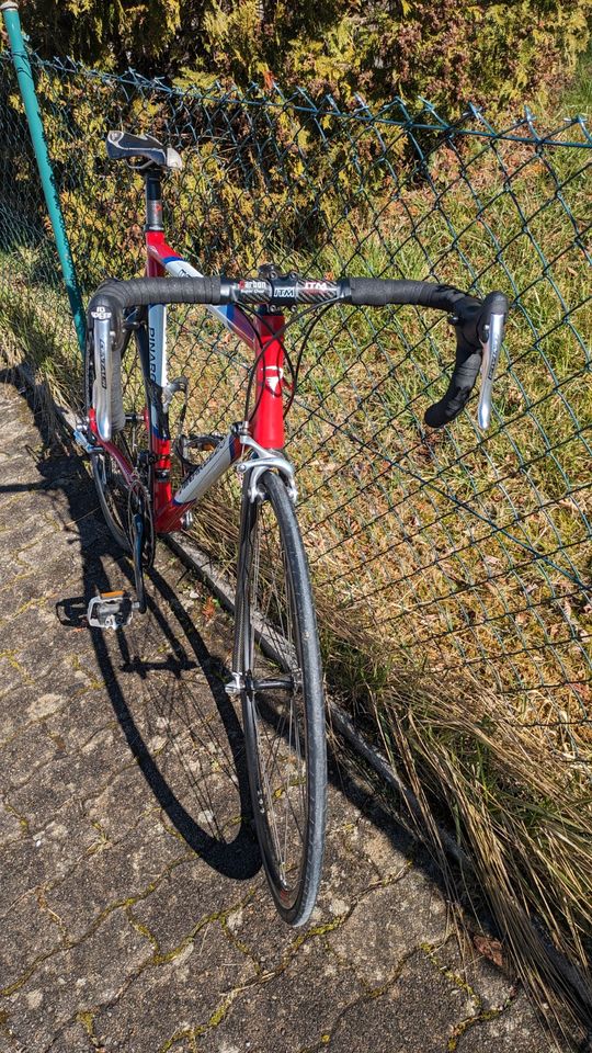 Rennrad Pinarello Marvel Größe L, Carbon, Campagnolo Chorus 2x10 in Krumbach Schwaben