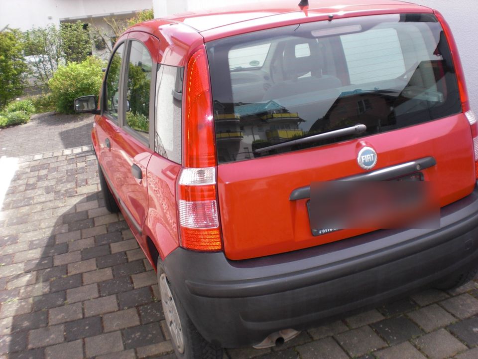 Fiat Panda Typ 169 erstz.2006 Tüv 11.25 , Nur noch bis Mittwoch ! in Solms