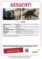 GESUCHT!!! Katze ELLA Baden-Württemberg - Hechingen Vorschau