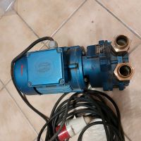 Speck Dietz selbstansaugende Pumpe Hauswasserwerk Vakuumpumpe Thüringen - Apolda Vorschau