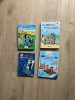 Leselöwen Bücher erstes Lesen Kinderbücher Nordrhein-Westfalen - Bad Driburg Vorschau