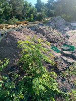 Mutterboden Füllmaterial Niedersachsen - Gifhorn Vorschau