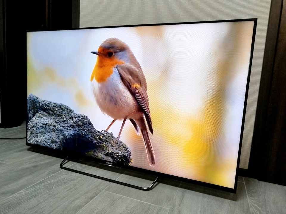 Sony Bravia 55 zoll Smart TV Fernseher Android YouTube Play Store in Erkrath