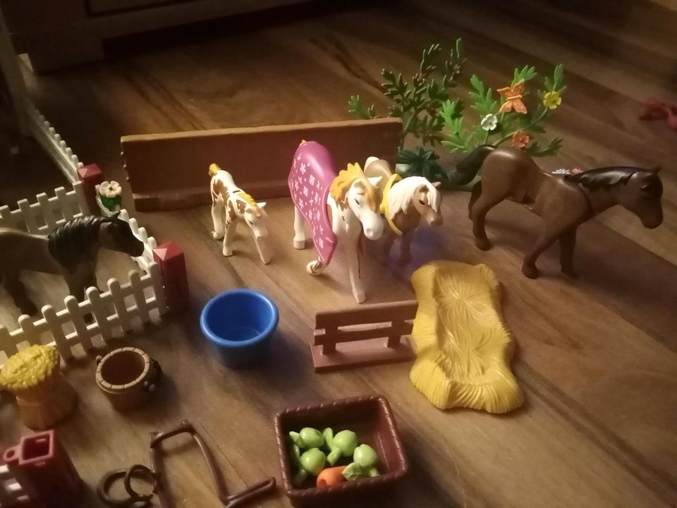 Playmobil Ponyhof in Peißenberg