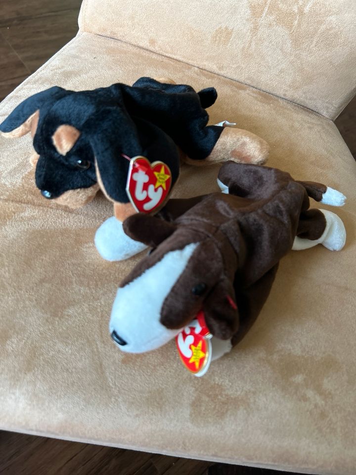 Ty beanie Baby Bruno, Doby in Dortmund