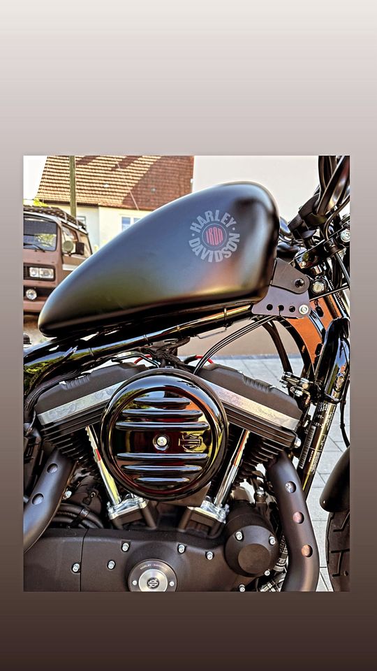 Harley Davidson Iron Sportster 883 in Scheyern