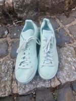 Adidas Stan Smith Primeknit Sneaker mint Gr 42 Frühling Schuhe Nordrhein-Westfalen - Ibbenbüren Vorschau