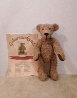 Teddybär teddy Bär Niedersachsen - Rohrsen Vorschau