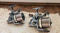 2x Daiwa Emblem Z 6000 PT Karpfenrolle mit Shimano Technium Niedersachsen - Uetze Vorschau