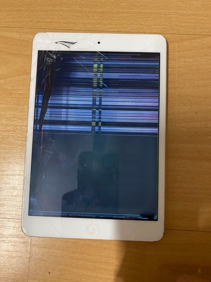 Apple iPad mini Display Defekt an Bastler in Kellinghusen