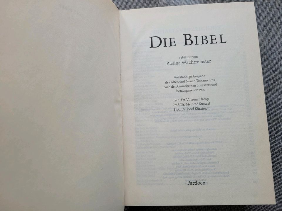 Bibel mit Bildern und Cover von Rosina Wachtmeister * Gold * neu in Regensburg