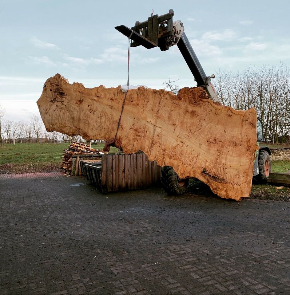 Sitzbank Kamin Kaminsitzbank Kaminholzregal Kaminholzlager Holz in Bielefeld