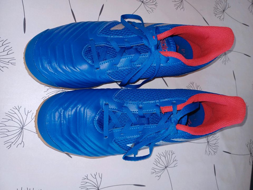 Adidas Predator Hallenturnschuhe Gr 41,5 in Wölpinghausen