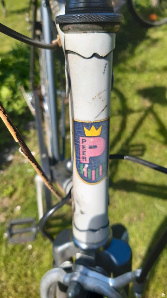 Altes Fahrrad 28 in Schorfheide