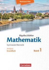 Mathematik Bigalke Köhler Analysis Grundfach Band 1 in Lustadt