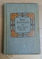 Hermann Hesse Peter Camenzind 1904 zweite Auflage Sammlerstück Bayern - Starnberg Vorschau