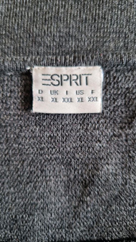 Esprit Pulli anthrazit in Werne