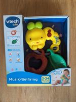 Vtech Musik-Beißring OVP neu für 3-24 Monate (Baby / Kleinkind) Hessen - Groß-Gerau Vorschau