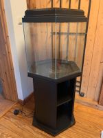 Aquarium - Komplettset - 6 eckig mit Unterschrank und Zubehör Niedersachsen - Winsen (Luhe) Vorschau