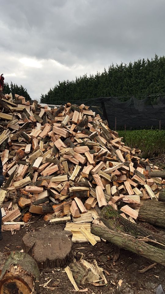 Brennholz, kaminholz, brandhout in Gangelt