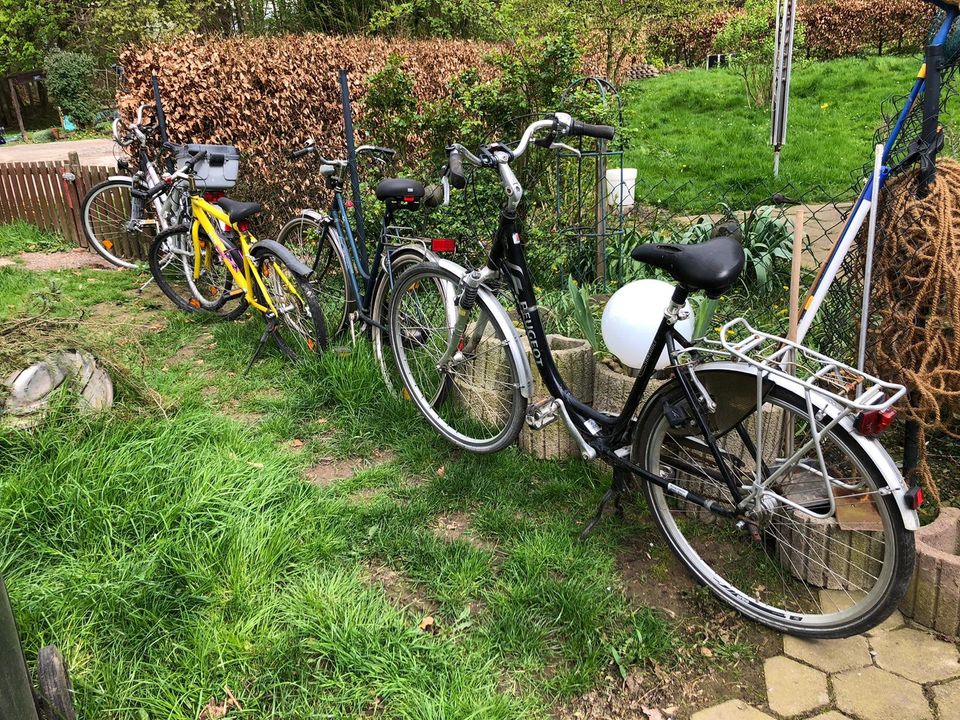 Fahrräder Mountainbike, City Bike in Detmold