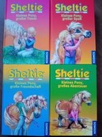 4x Buch Kinderbuch Pferde *Sheltie* je 3 Geschichten Baden-Württemberg - Schönaich Vorschau