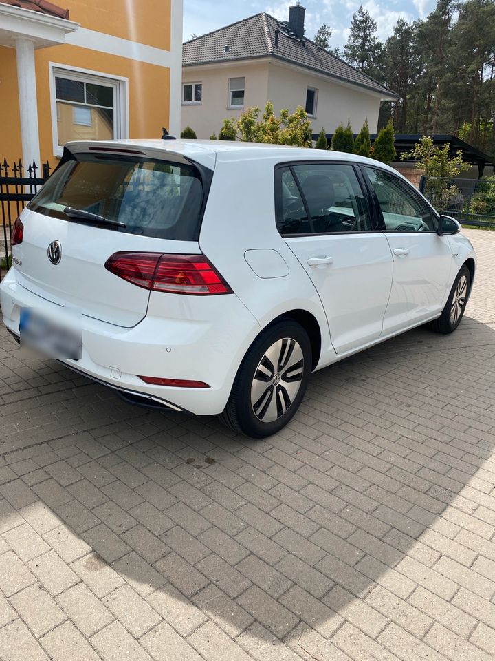 VW Elektro e-Golf 300 - 136PS - 35 kWh Akku - ACC - CCS- Garantie in Ludwigsfelde