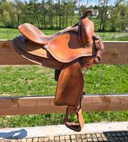 Western Imports Roudskirt Western Sattel Reining Westernsattel Thüringen - Altenburg Vorschau
