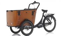 Elektrofahrrad Qivelo N8 Bafang 250W Pedelec E-Bike Lastenfahrrad Nordrhein-Westfalen - Gelsenkirchen Vorschau