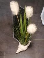 Ambia pampas Gras Pampasgras 120 cm Muschelvase Bodenvase Topf Nordrhein-Westfalen - Nieheim Vorschau