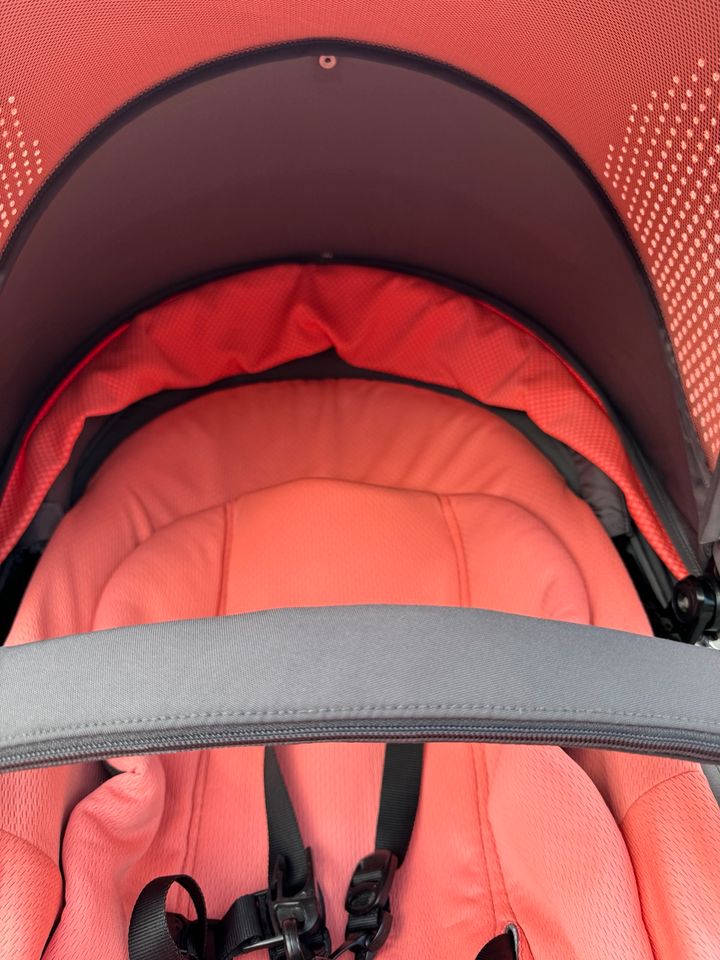 Stokke Kinderwagen Limited Edition in Bad Iburg