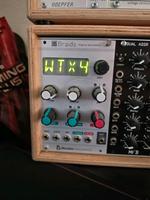 Mutable Instruments Braids Macro Oscillator (Eurorack) Bayern - Friedberg Vorschau