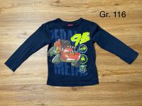 Langarmshirt / Dünner Pullover Gr. 116 Disney / Pixar Dresden - Gorbitz-Nord/Neu-Omsewitz Vorschau