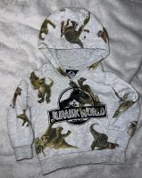 Hoodie Jurassic World 92 Wandsbek - Hamburg Bramfeld Vorschau