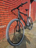 Fahrrad Serious Cedar Hybrid schwarz (Rahmenhöhe: 56 cm) Niedersachsen - Uplengen Vorschau