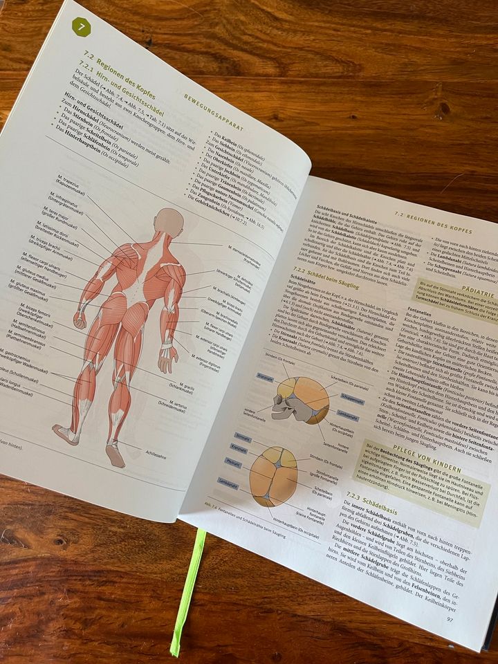 Elsevier - Biologie, Anatomie, Physiologie Pflege Ausbildung in Hattenhofen