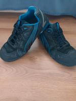 Puma Sicherheit Schuhe Nordrhein-Westfalen - Recklinghausen Vorschau