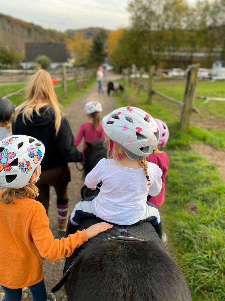 Ponyreiten für Kinder 1-6 Jahre in Kürten