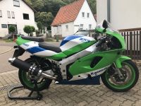 Kawasaki ZXR 750, grün weis blau, BJ 1993, 2020/2021 restauriert Rheinland-Pfalz - Landau-Godramstein Vorschau