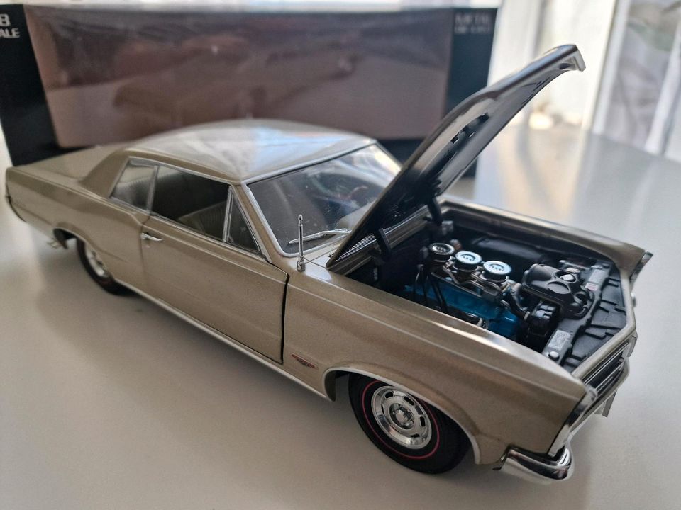 Modellautos 1:18 Pontiac GTO Sun Star in Moosburg a.d. Isar