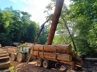 Stammholztransport/Holztransport/Rückewagen Bayern - Lohr (Main) Vorschau