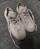 Converse All Star Schuhe Gr. 35 Sachsen-Anhalt - Gardelegen   Vorschau