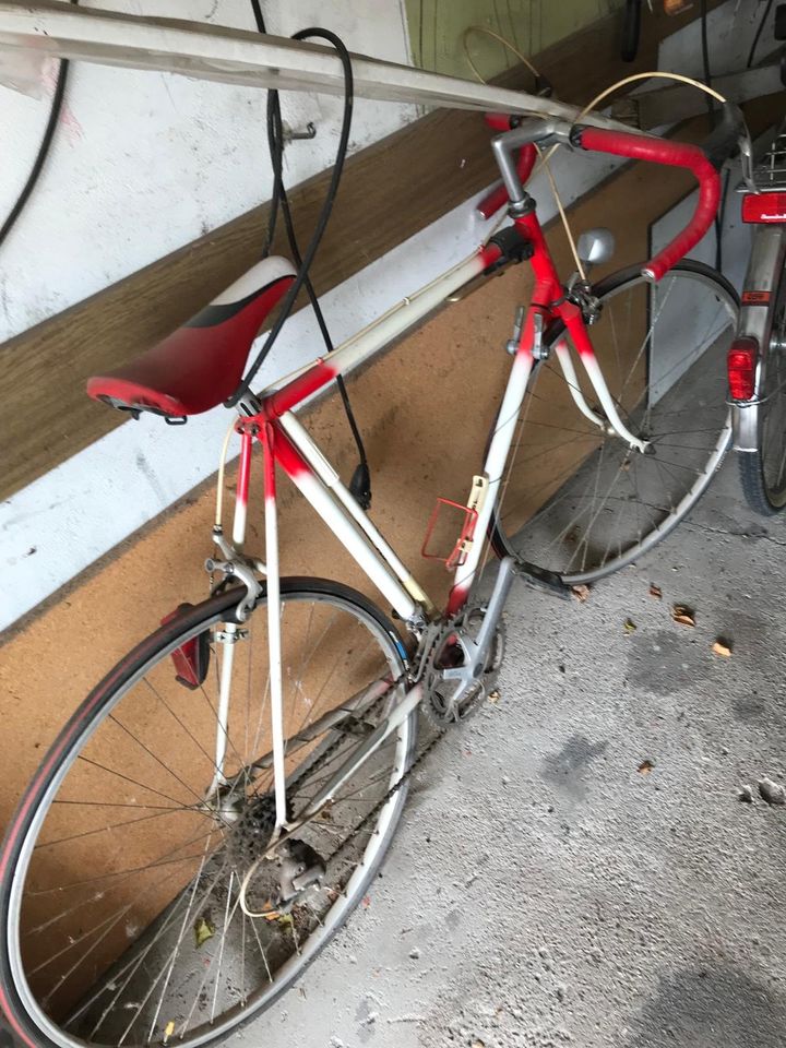 Retro Rennrad für Strade Eroica oder ähnlich in Worms